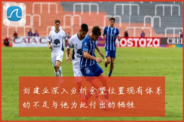 刘建业深入分析余望位置现有体系的不足与他为此付出的牺牲
