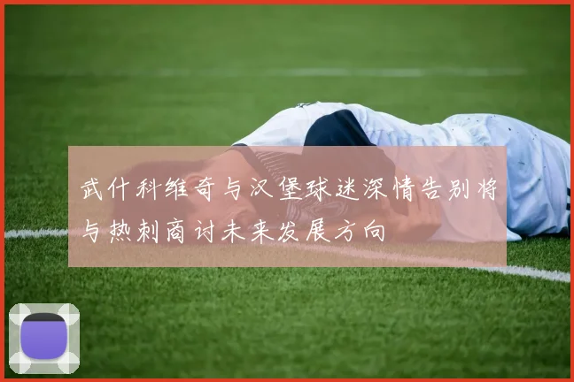 武什科维奇与汉堡球迷深情告别将与热刺商讨未来发展方向